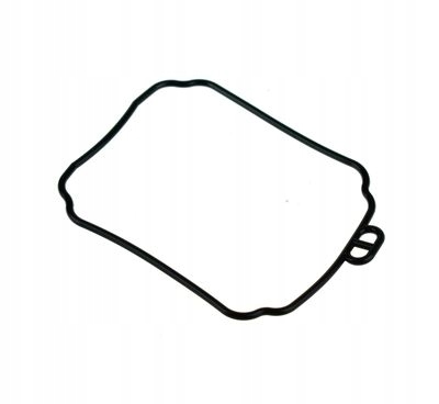 

Uszczelka komory pływakowej XV 125 Virago 97-02r.