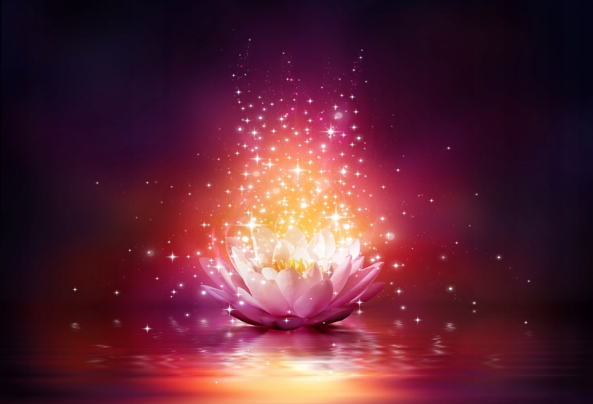 

Tapeta flizelinowa Lotus Gwiazdy - 104x70