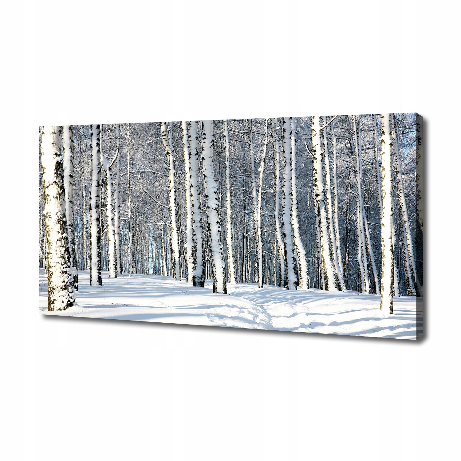 

Foto obraz canvas na ścianę Las zimą 140x70 cm