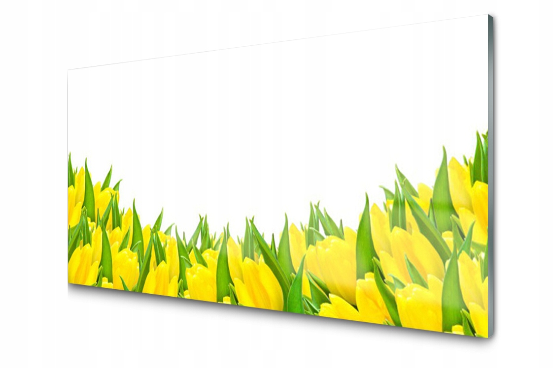 Sklenený panel Doska Kvety Tulipány 100x50