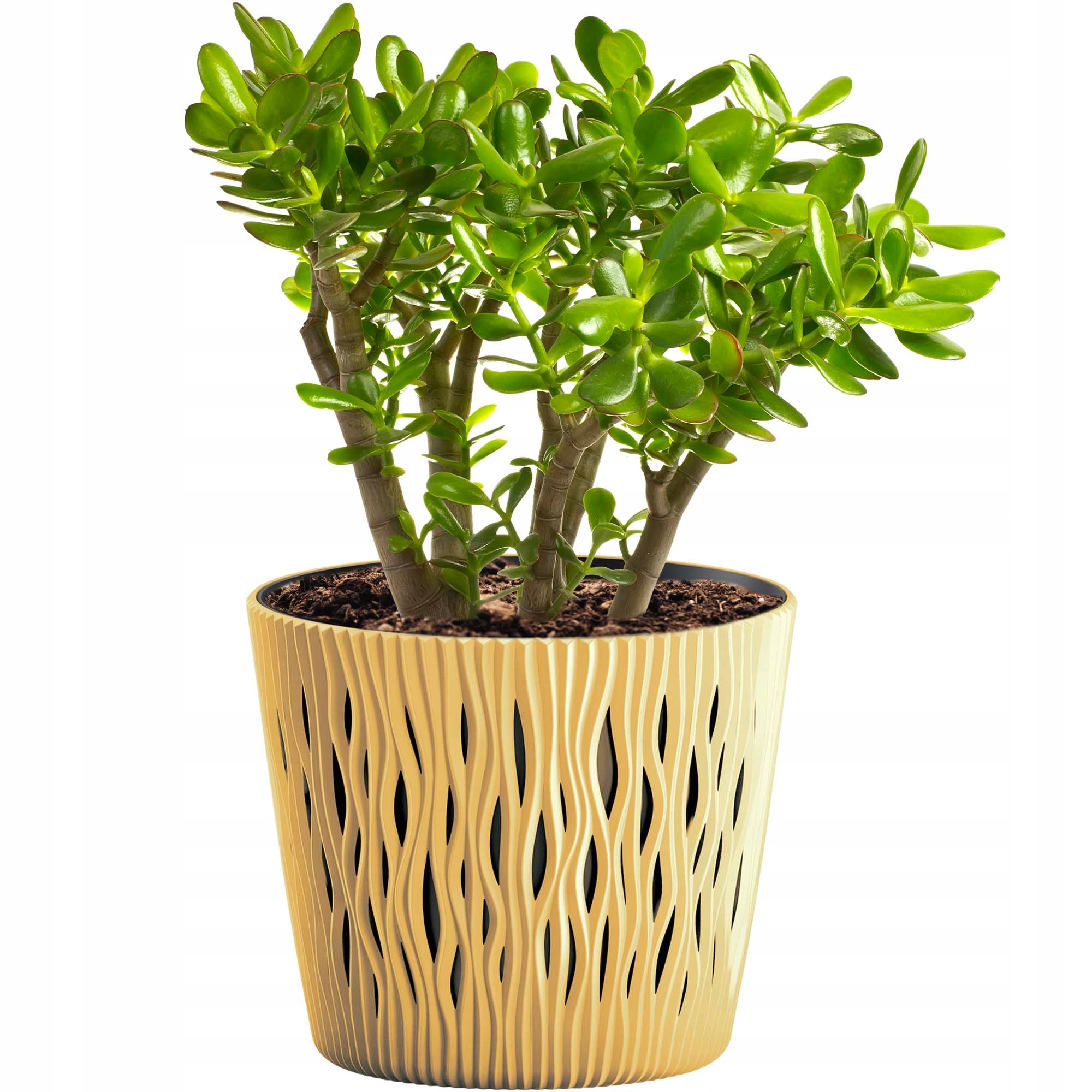 DONICZKA Z WKŁADEM OSŁONKA SANDY ROUND 15,8 cm