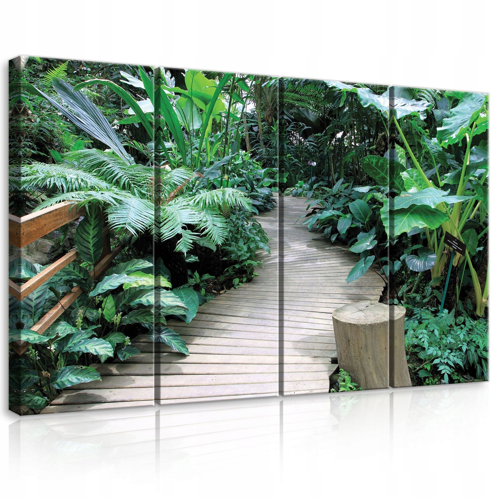 Obraz 120x80 Tropické džungle zelená príroda listy pokoj relax cestovanie