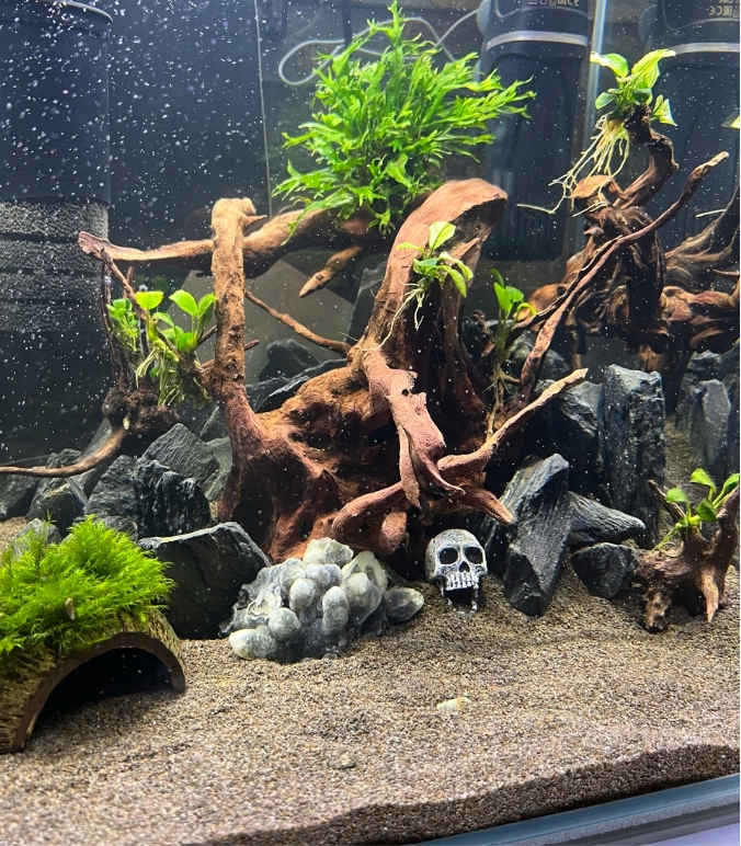 Fekete Akvarium Homok