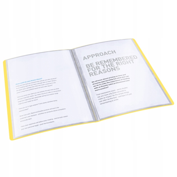 Album ofertowy A4 20 kieszeni żółty ESSELTE VIVIDA EAN (GTIN) 4049793028170