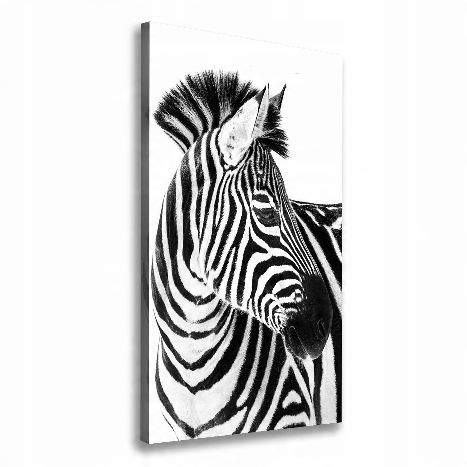 

Foto obraz na płótnie Zebra w śniegu 70x140 cm