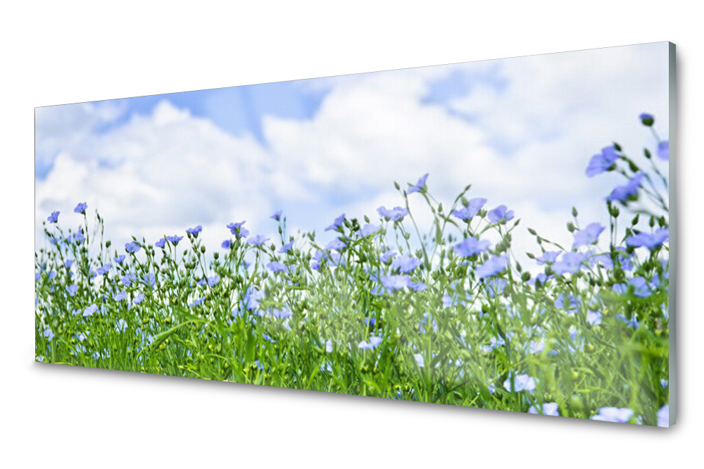 

Panel szklany do kuchni Kwiaty Roślina 125x50