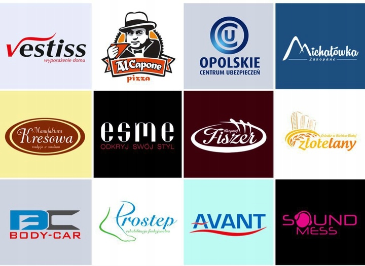 PROJEKT LOGO/ LOGOTYP / LOGO FIRMY / LOGO WEKTOROWE / PROJEKTOWANIE Marka bez marki