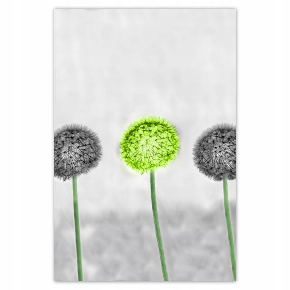 

Plakaty 40x60 Limonkowy środkowy