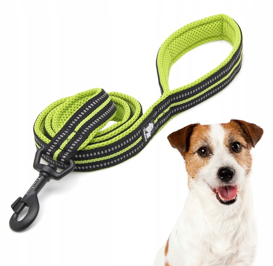 Levně Vodítko Pro Psa Reflexní Silná Truelove Active Limetková 200 CM Velikost S