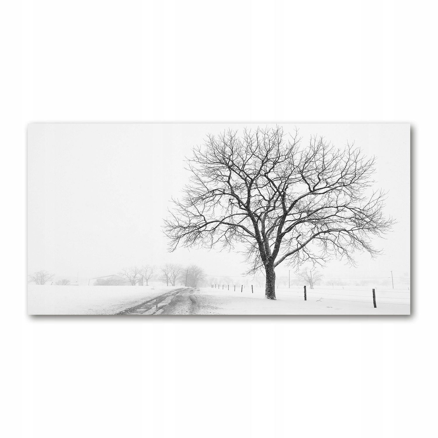 

Foto obraz na szkle akrylowym Drzewo zimą 120X60cm