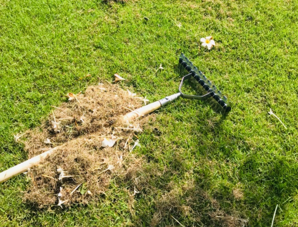 Aerator Ręczny (Końcówka) do Trawy Trawnika Głębokość robocza max 50 mm