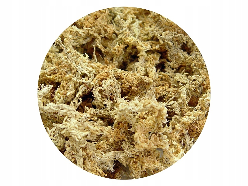 

NOwozelandzki mech torfowiec Sphagnum luźny 25g