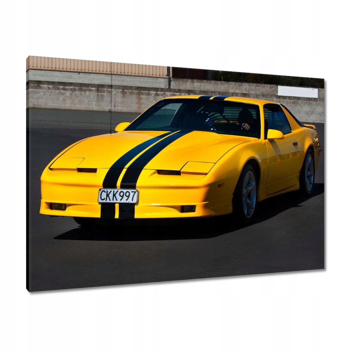 Obrazy 100x70 Pontiac Firebird 1984