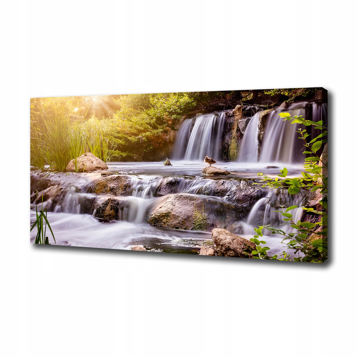 

Foto obraz canvas na ścianę Wodospad 100x50 cm
