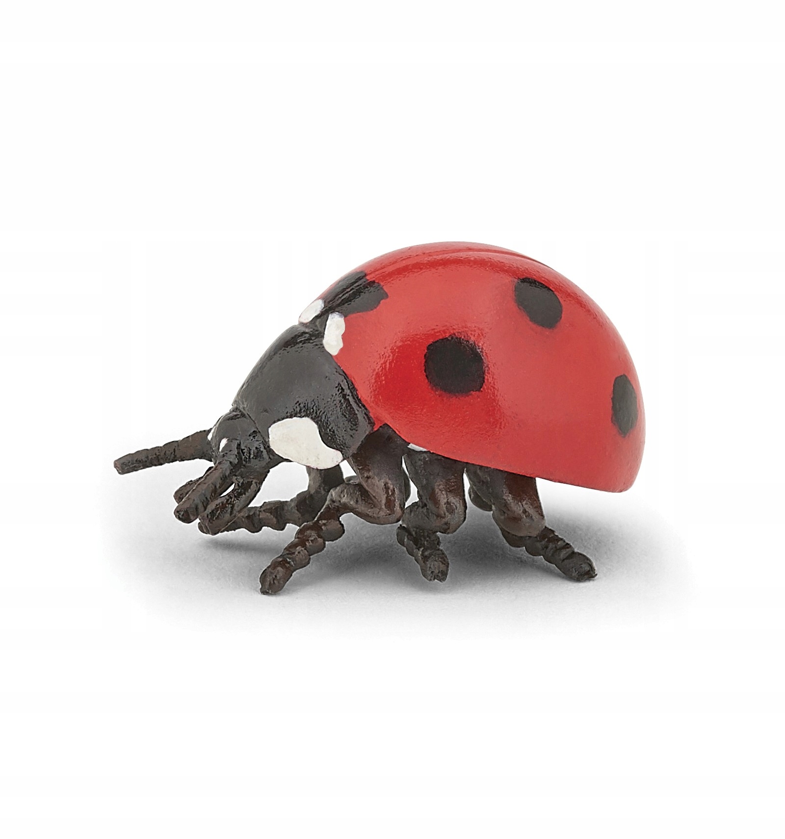 

Biedronka Ladybird Papo 50257
