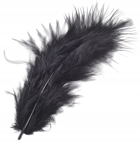 Pióra Marabu 10cm - czarne 15szt