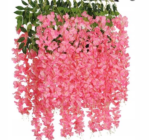 

XXL 12x wisteria glicynia girlanda pnącze