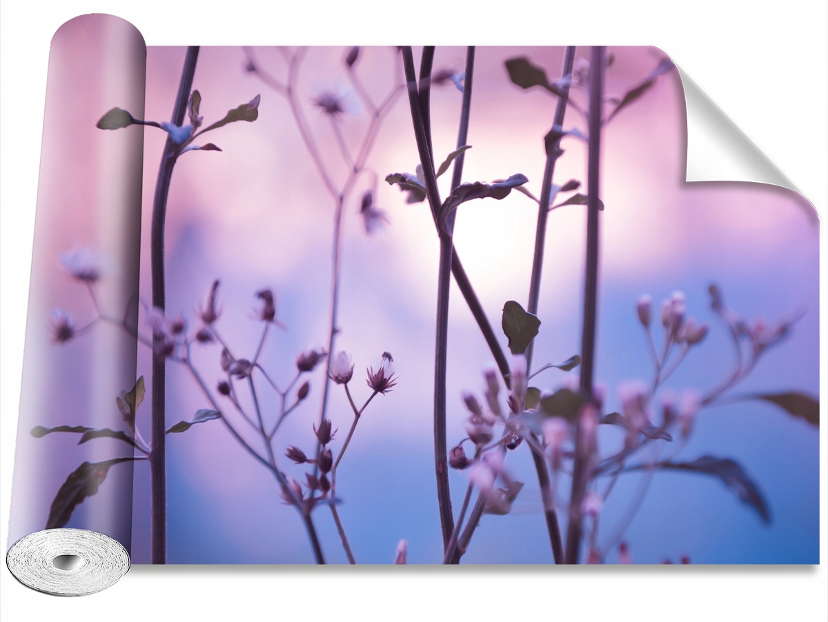 

Tapeta Samoprzylepna Pąki Fioletowy - 312x219