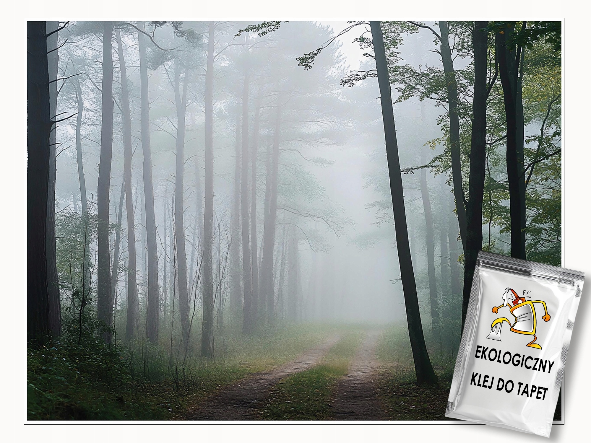 Fototapeta Les Příroda Krajina Ložnice Obývací Pokoj Tapeta Flizelina 300x210