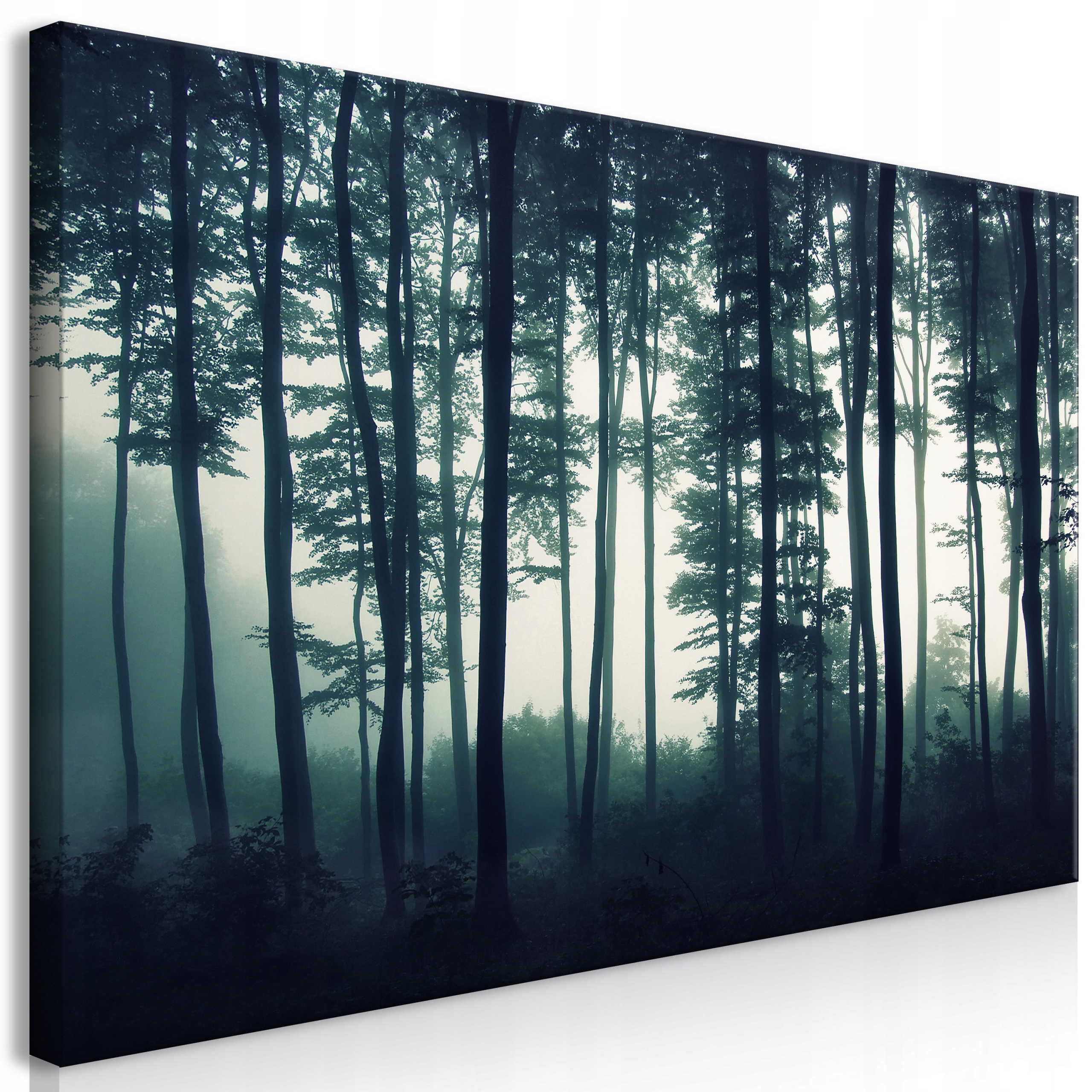 

Obraz XXXL Diy Las Natura 160x80 c-B-0223-ak-e
