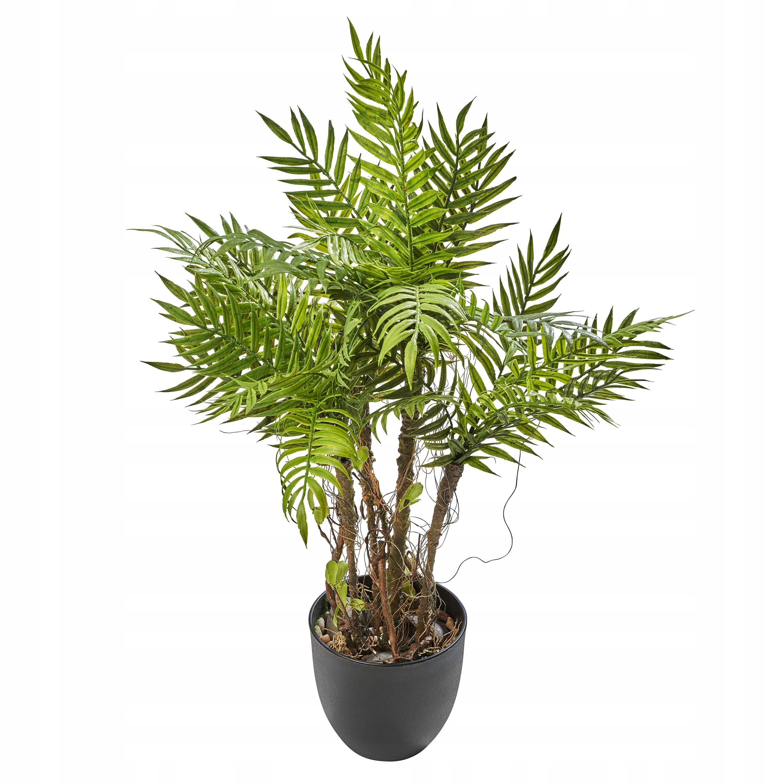 Amare Rastlina papradia 60 cm zelená plast v kvetináči