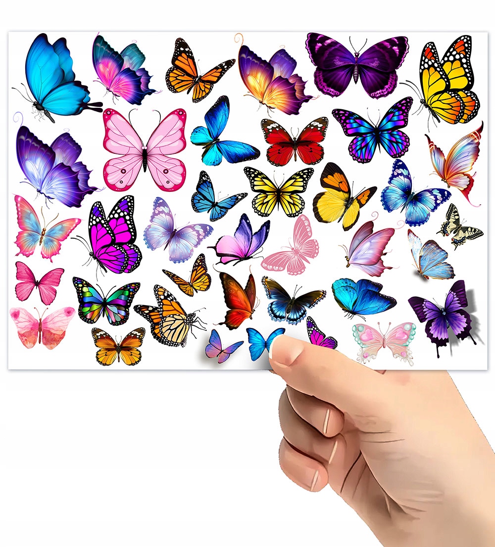 TATUAŻE DLA DZIECI TYMCZASOWE TYMCZASOWE MOTYLKI WZORY ZESTAW JAKOŚĆ EAN (GTIN) 5904629463206