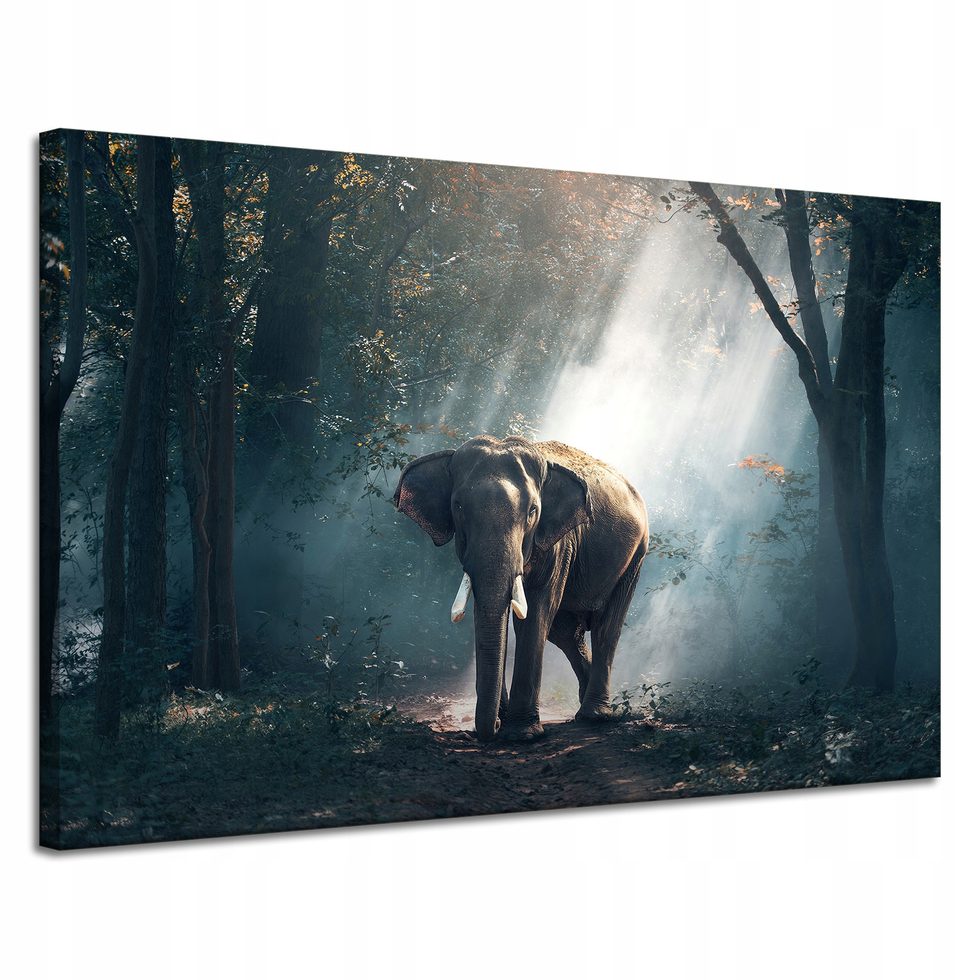 Obraz Canvas Zvířata Slon v krásném lese 120x80