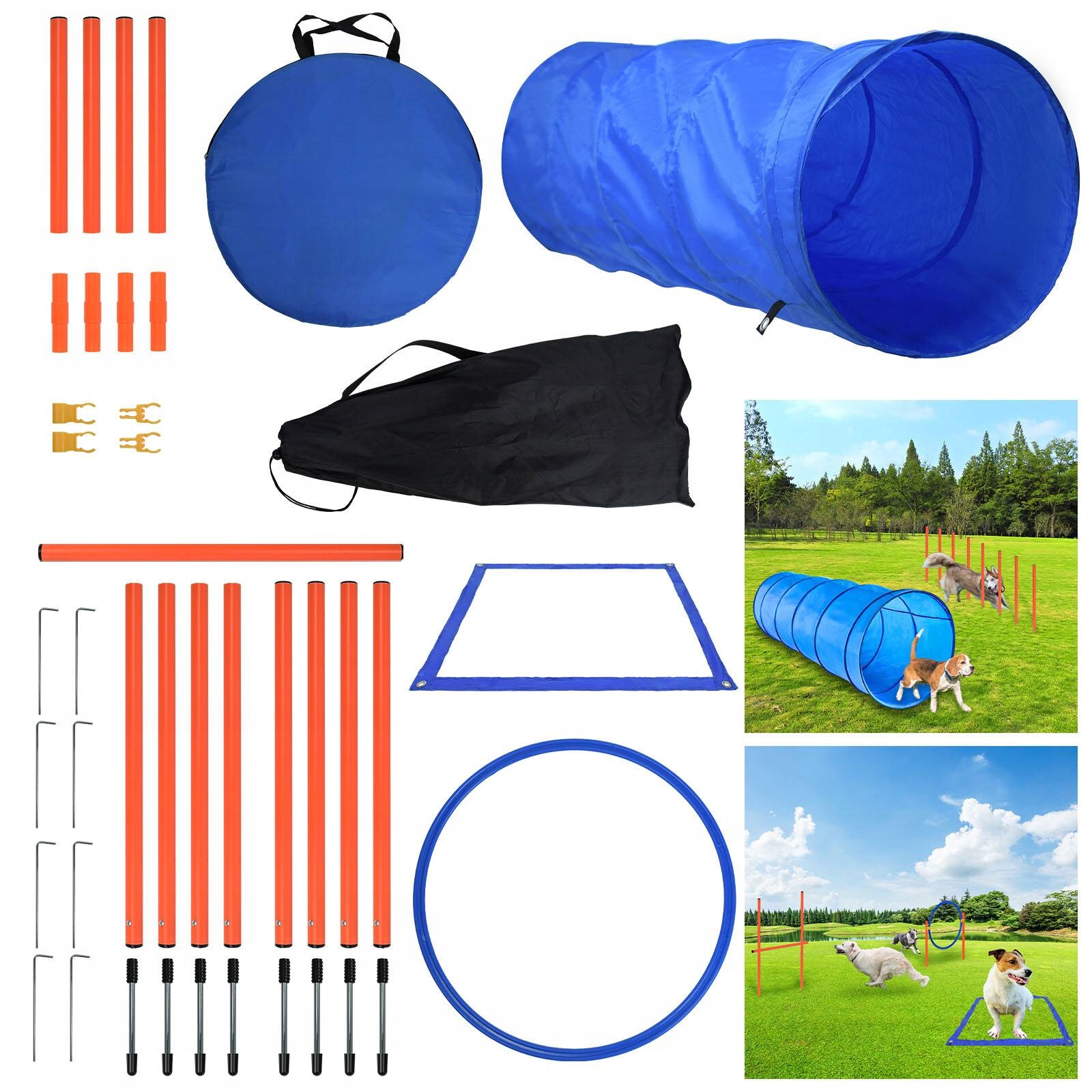 Sada pro agility pro psy modrá pro výcvikové hry Agility