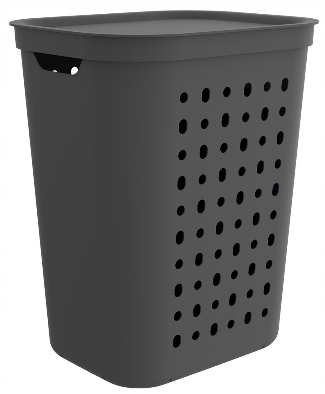 

Rotho, Kosz na pranie z klapą Jona 55l, antracyt