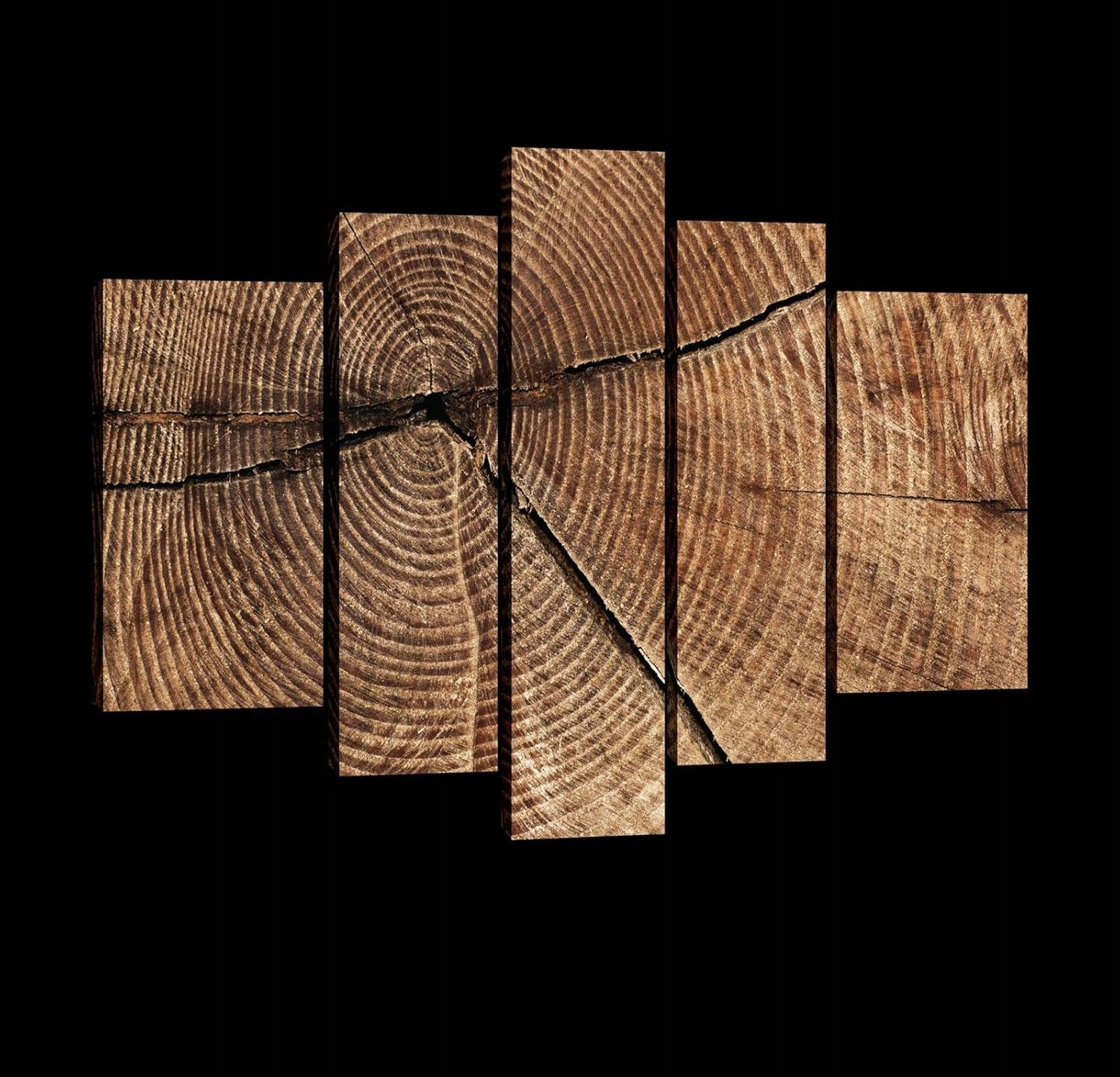 Obraz 170x100 Průřez stromu sloje roční textura dřevo příroda