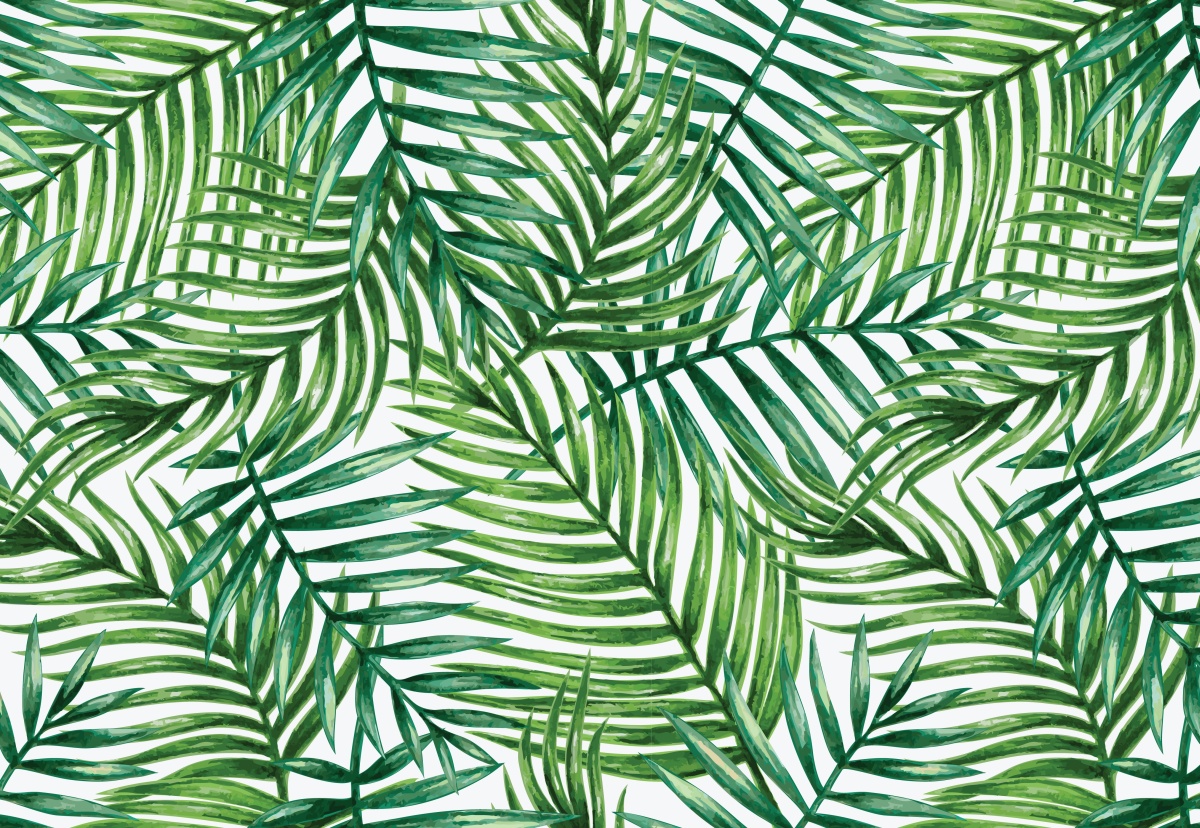 

Fototapeta Flizelina Liście palmy 152x104