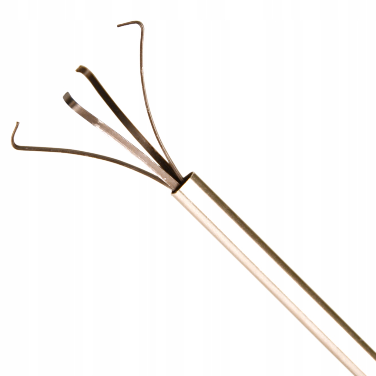 

Chwytak do roślin w szkle (plant terrarium)