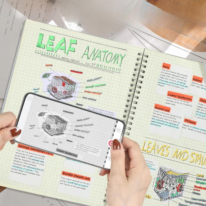 Phomemo T02 mini drukarka termiczna zdjęć notatek etykiet samoprzylepnych Producent Phomemo