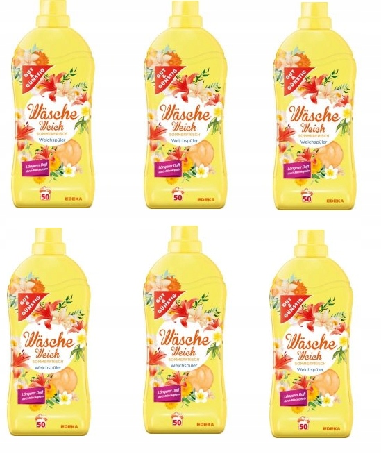 Gg Tekutá Aviváž Sommerfrisch Koncentrát Sada 6 x 1,5 l Německo