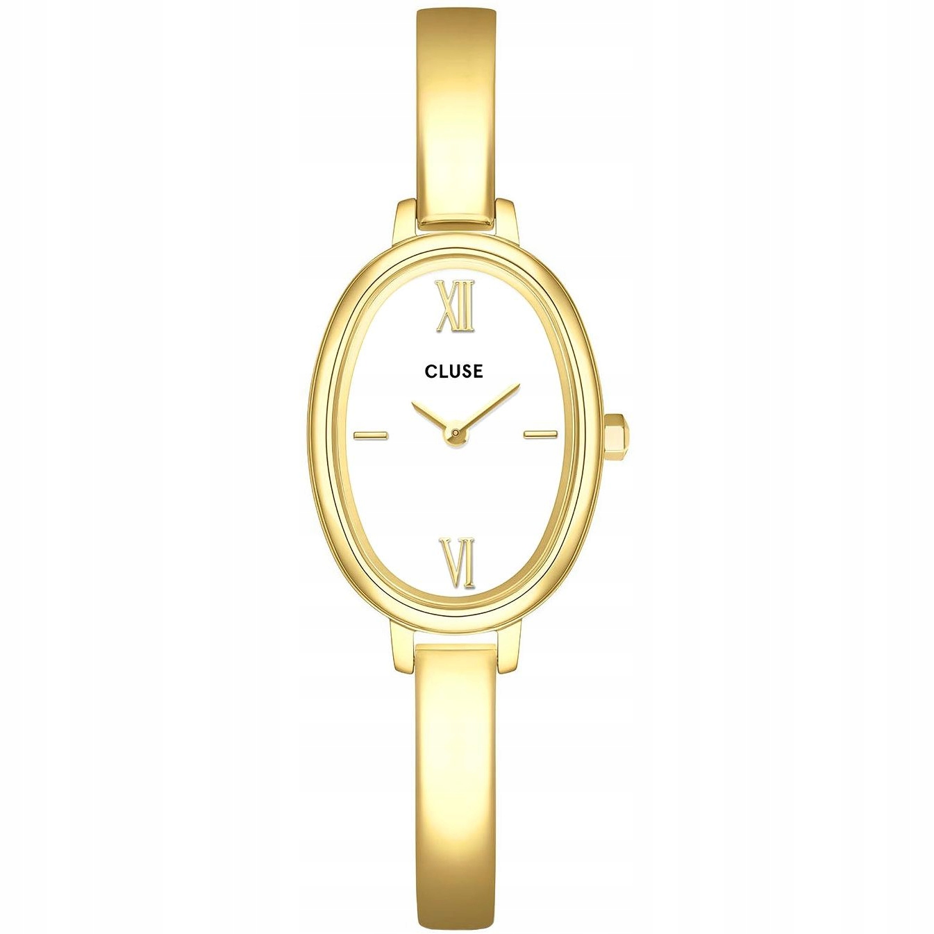 Dámské hodinky Cluse CW16101 zlaté