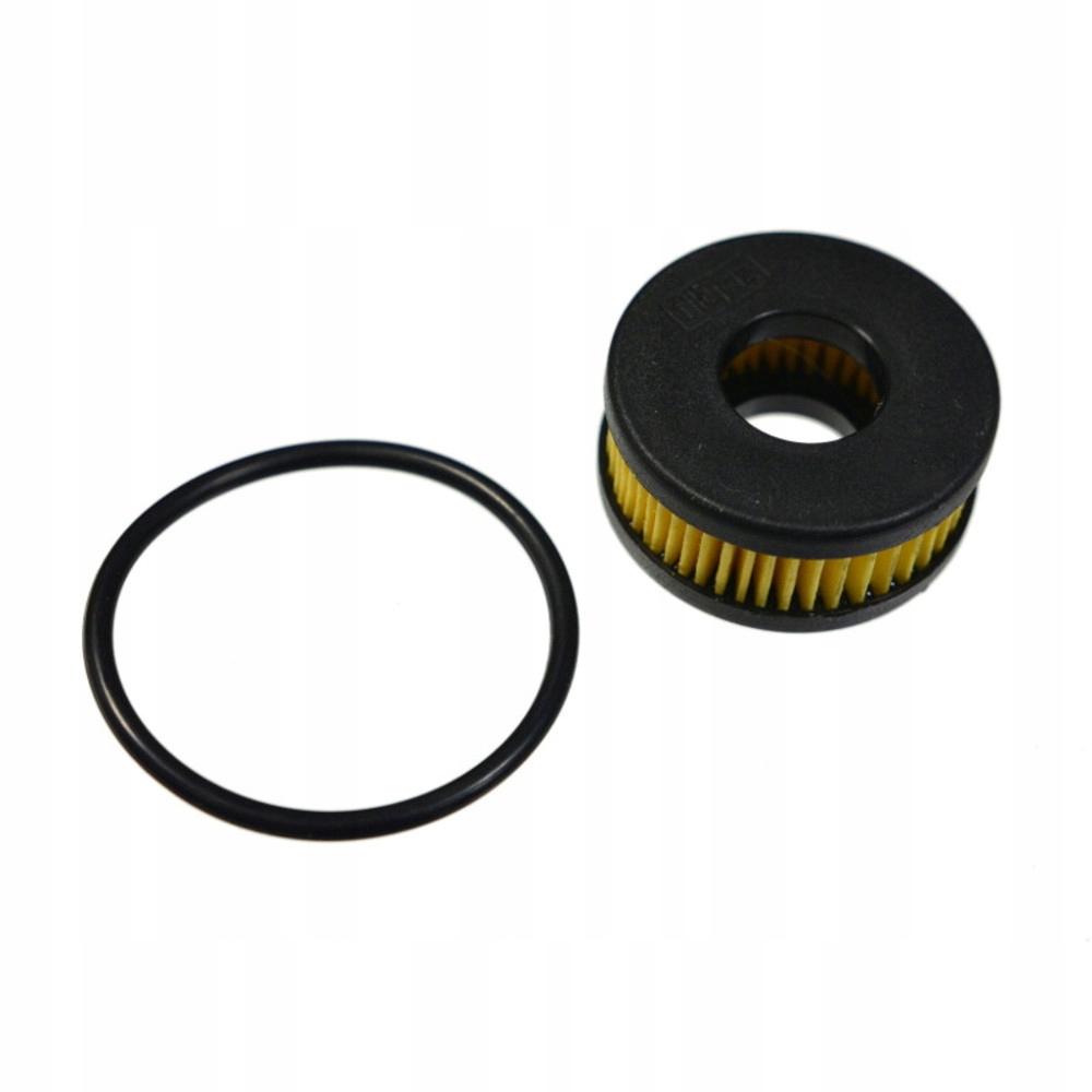 Filtr LPG + Oringi Filgaz do LANDI RENZO OMEGAS