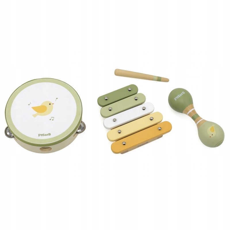 VIGA PolarB Zestaw Instrumentów Muzycznych Zielony Stan opakowania oryginalne