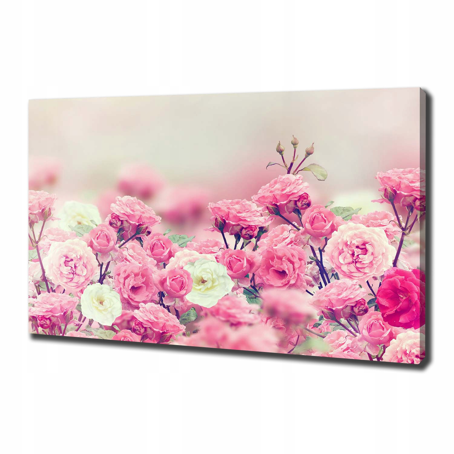 

Foto obraz na płótnie Kwiaty dzikiej róży 100x70cm