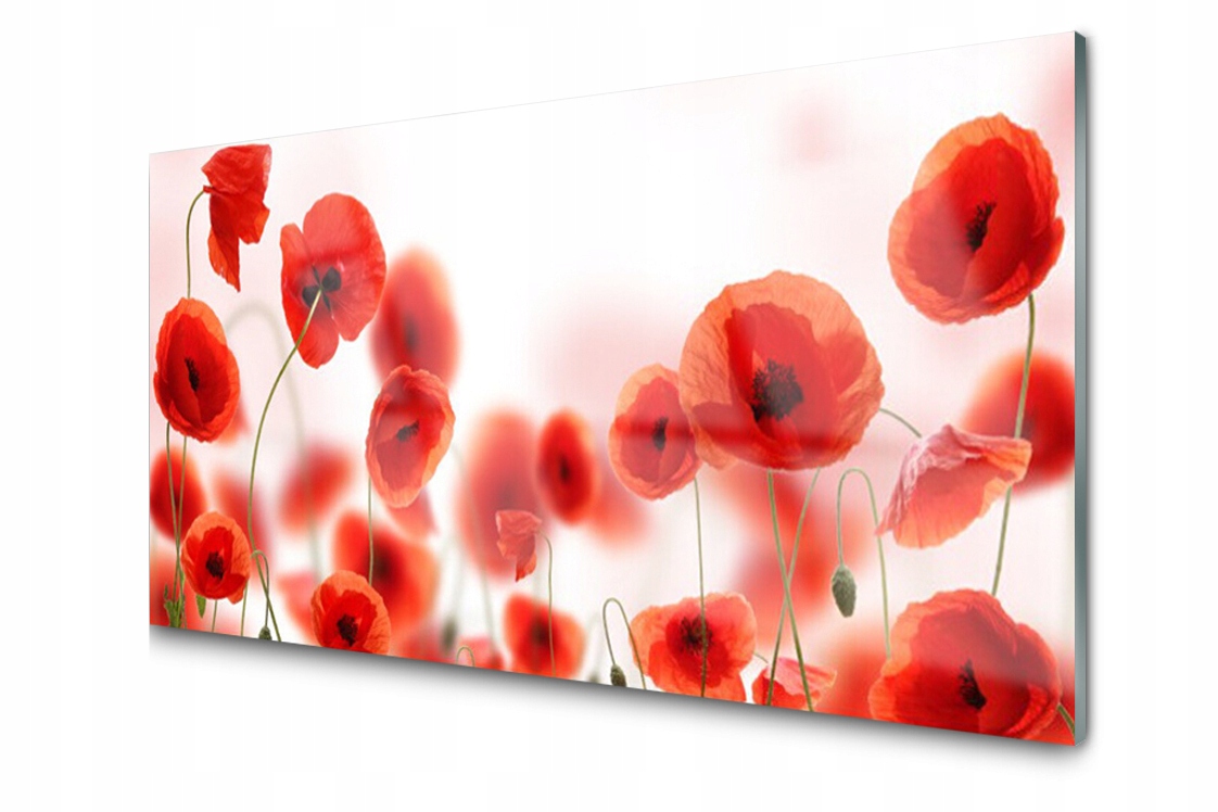 

Panel szklany dekor Maki Roślina 140x70 + Klej