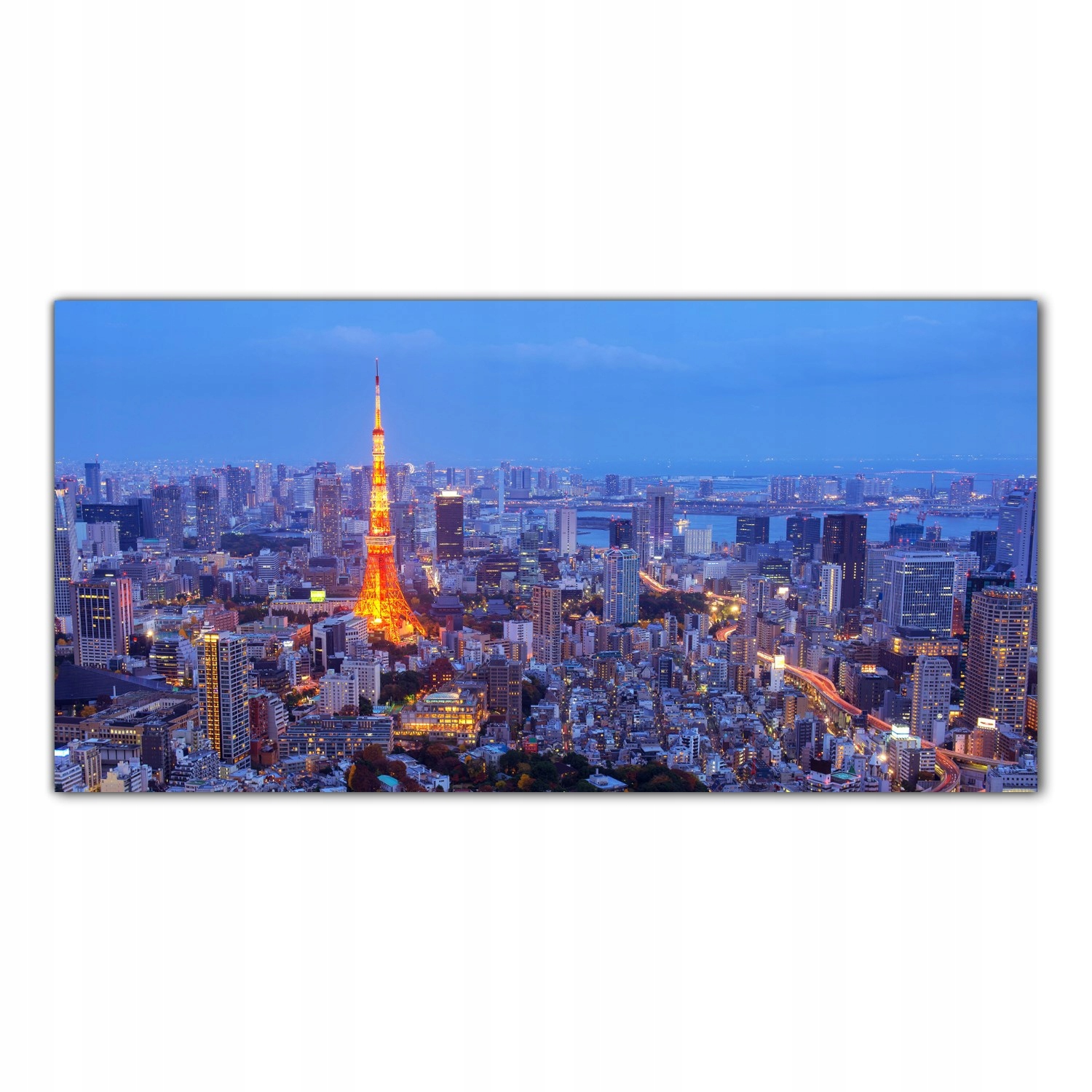

Obraz na szkle Foto Tokio Japonia Miasto 140x70