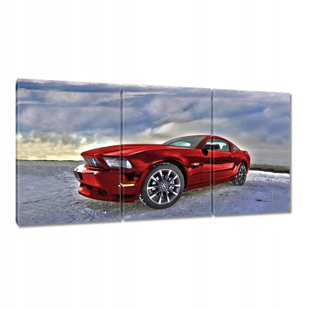 

Obrazy 120x60 Czerwony Mustang Śnieg