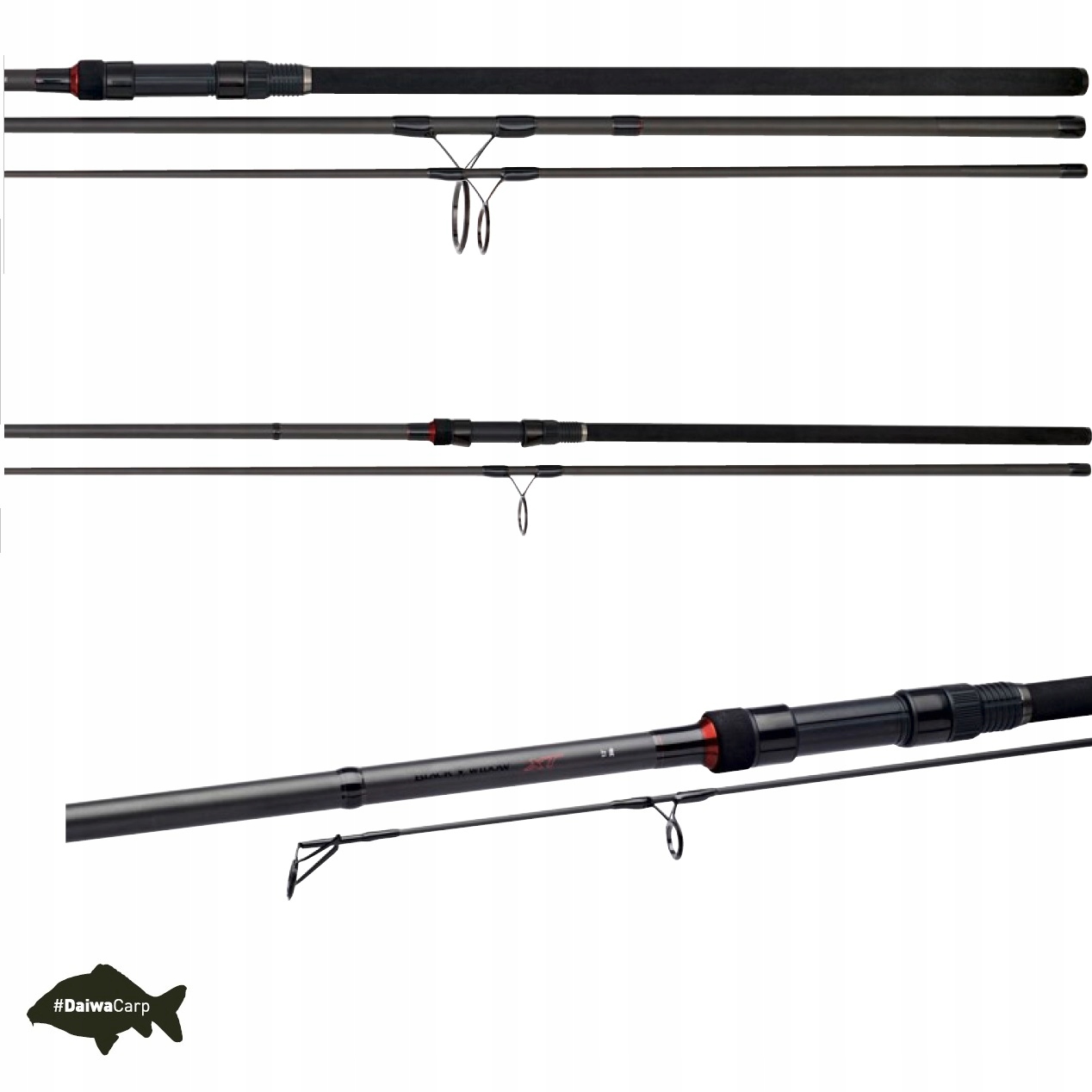 DAIWA BLACK WIDOW XT CARP 360 CM 3,00 LB 3 SEC