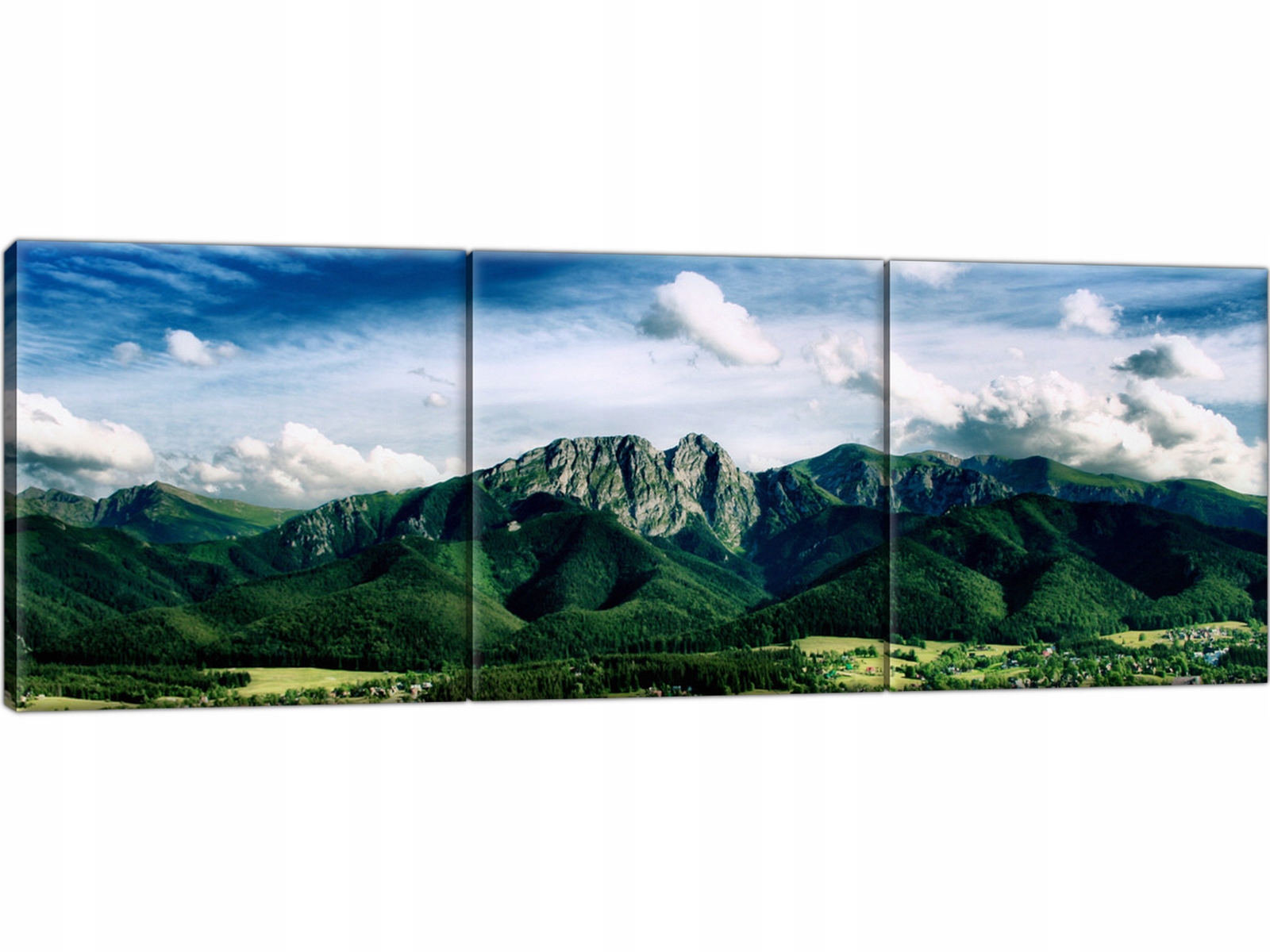 

Panorama Krajobraz tatry Góry 90x30 Obraz Tryptyk