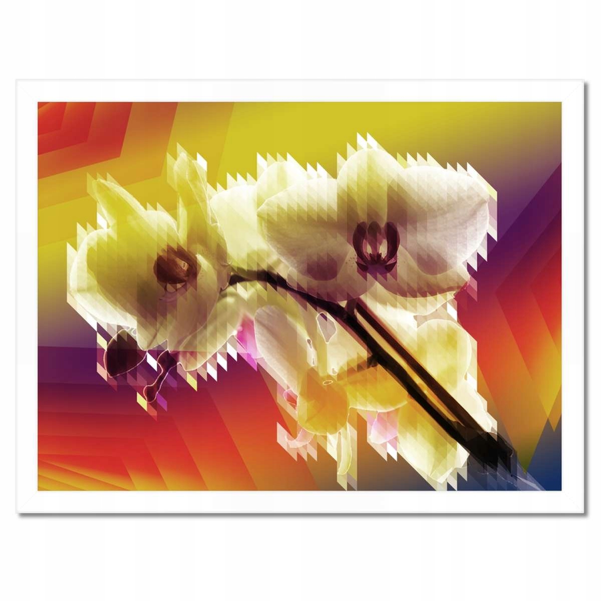 Plakáty v rámu 40x30 Orchidej Krásné květiny