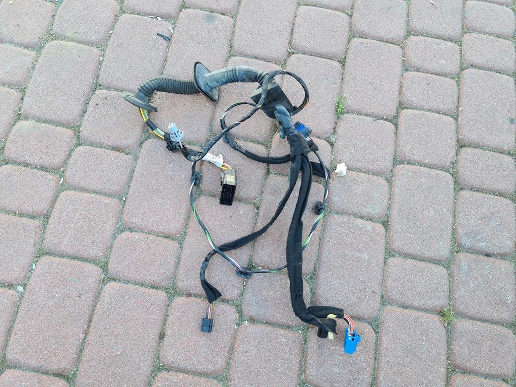 wiring door MASTER III MOVANO B 241249087R