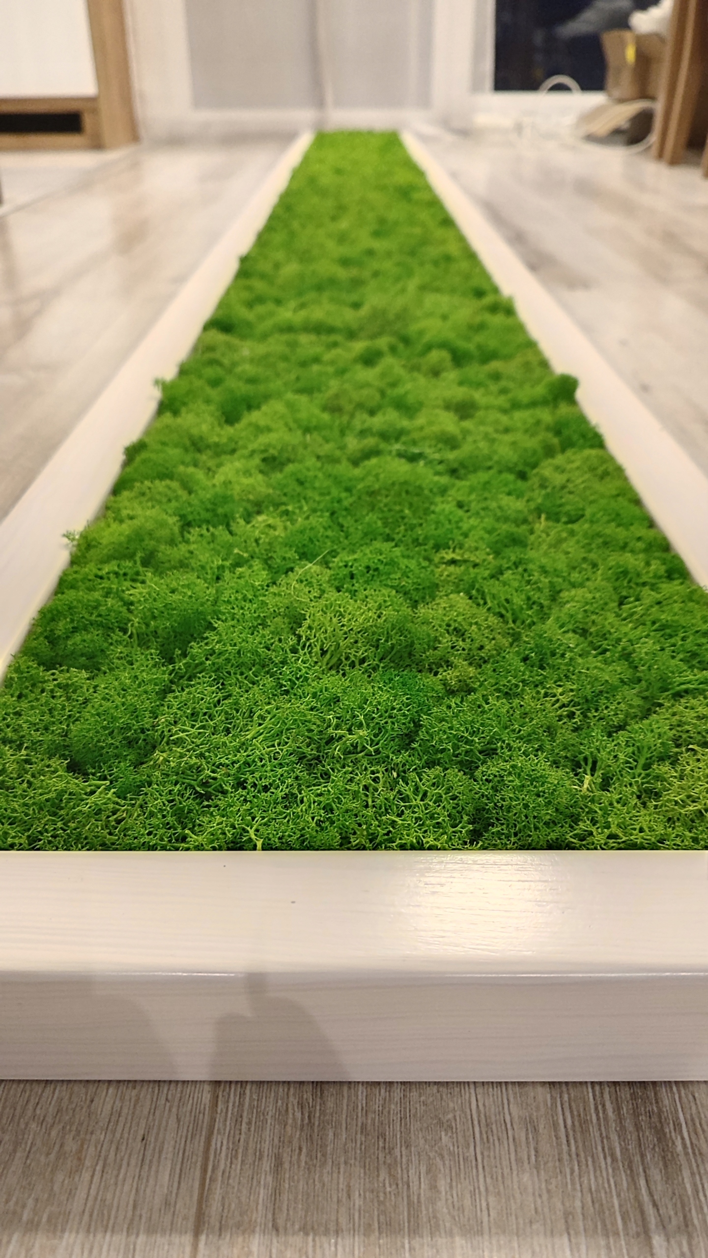 Panel Ścienny Rama - Mech Chrobotek Marka bez marki