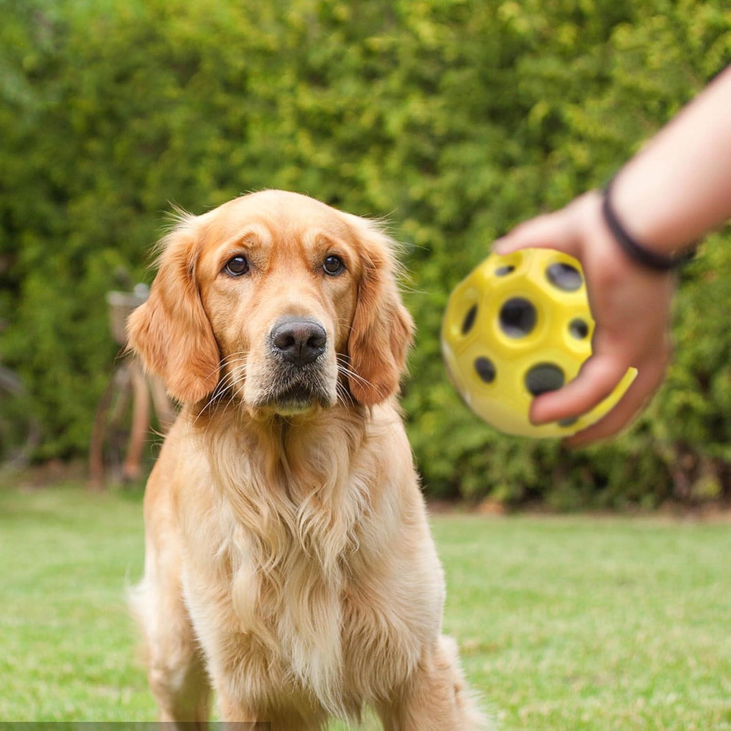 6 KS KOZMICKÝCH SKOKOV, VYSOKÁ GUMOVÁ LOPTA NA SKÁKANIE, ODRÁŽACIA LOPTA Vek dieťaťa od 3 rokov