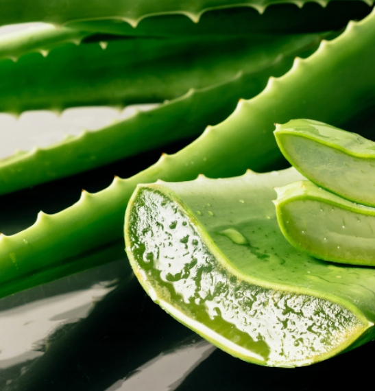 ANTYALERGICZNA Kołdra 200x220 ALOES całoroczna PL Szerokość produktu 220 cm