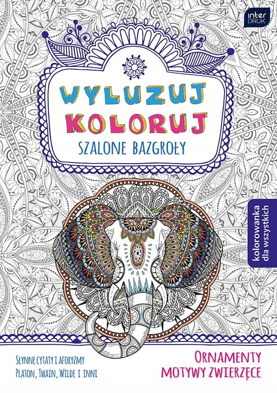 

Kolorowanka antystresowa Interdruk B5-32 Ornamenty