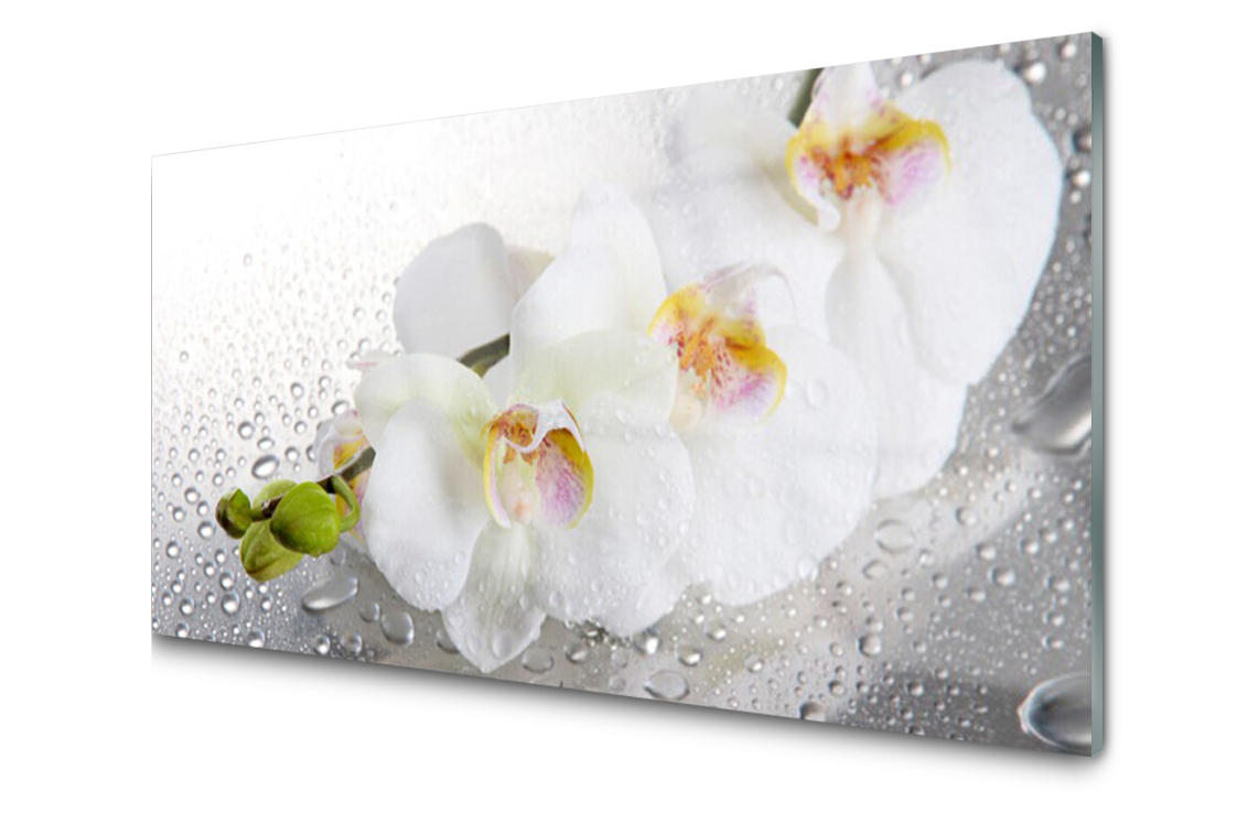 

Panel szklany Płytka Kwiaty Roślina 100x50